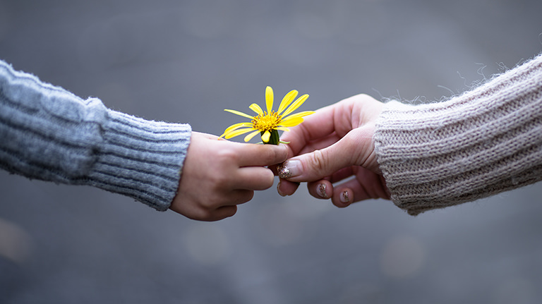 Wertschätzung und Resonanz im persönlichen Gespräch bei Raum für Entwicklung Verena Krey