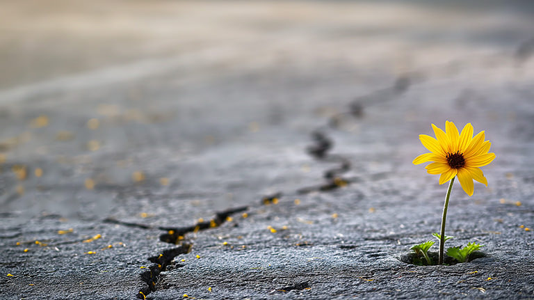 Veränderungen bewältigen: Raum für Entwicklung Verena Krey